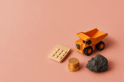 Previous Article Image