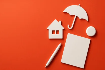 Previous Article Image