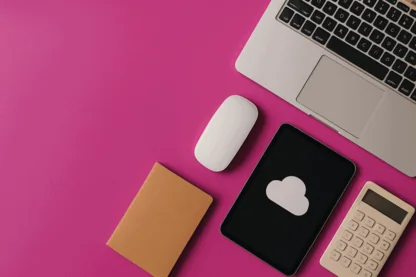 Previous Article Image