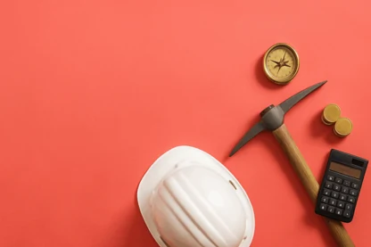 Previous Article Image