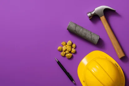 Previous Article Image