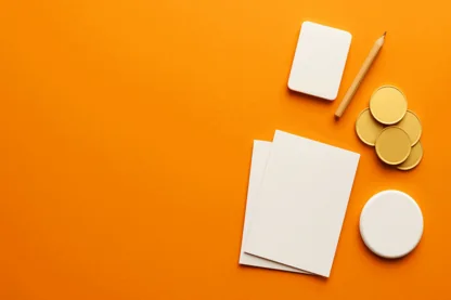 Previous Article Image