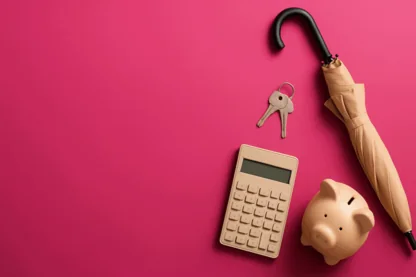 Previous Article Image