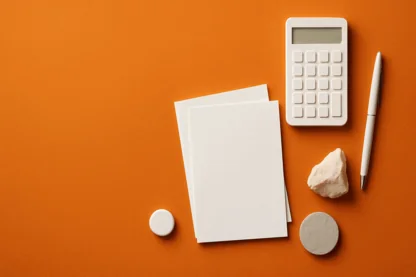 Previous Article Image