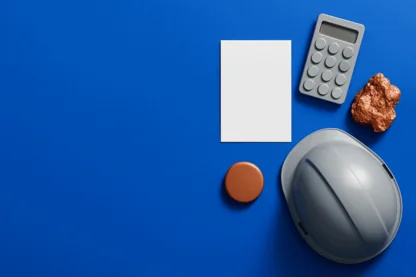 Previous Article Image