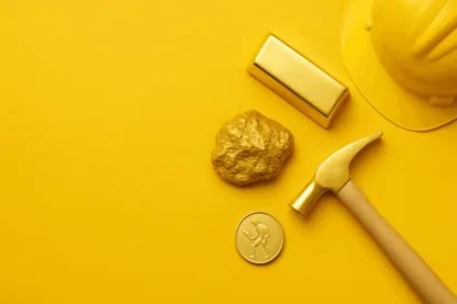 Previous Article Image