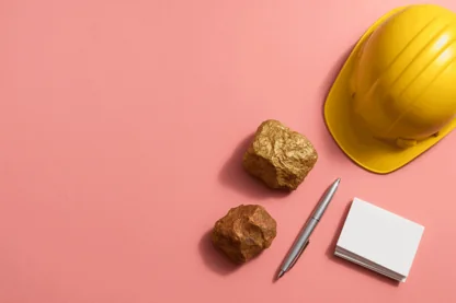 Previous Article Image