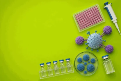 Previous Article Image