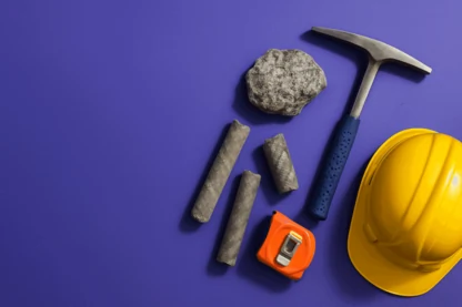 Previous Article Image