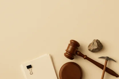 Previous Article Image