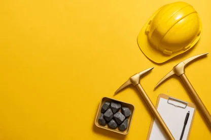 Previous Article Image