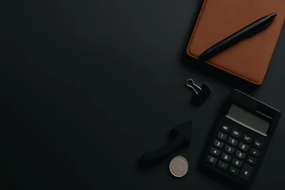 Previous Article Image