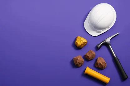 Previous Article Image