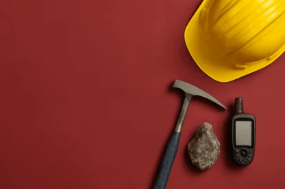 Previous Article Image