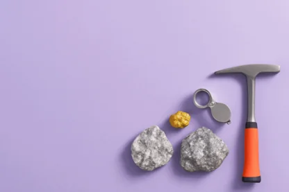 Previous Article Image