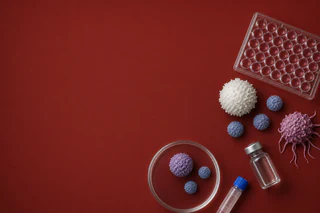AdAlta Secures EW-001 CAR-T Rights and Advances Manufacturing with FDA Engagement in Sight
