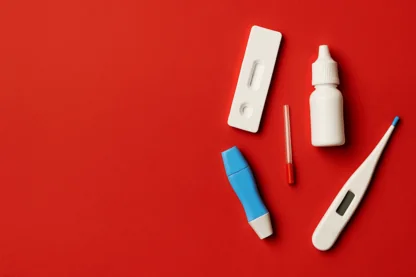 Previous Article Image