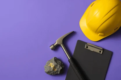 Previous Article Image