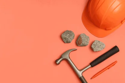 Previous Article Image