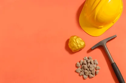 Previous Article Image