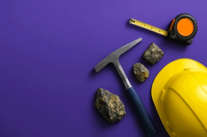 Previous Article Image