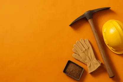 Previous Article Image