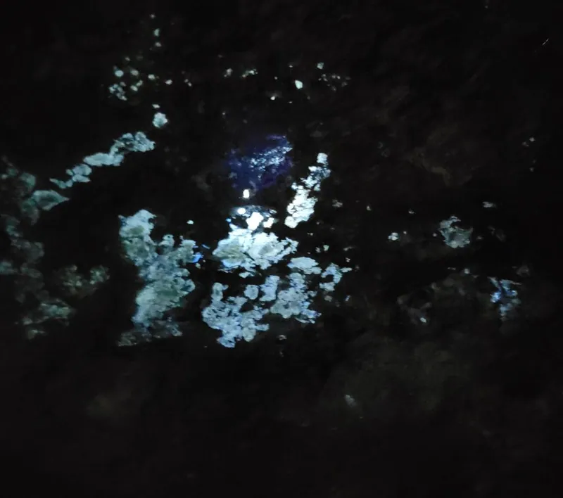 Exposure on the 400-foot level photographed under short-wave ultraviolet light, showing scheelite fluorescence