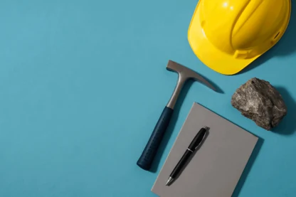 Previous Article Image