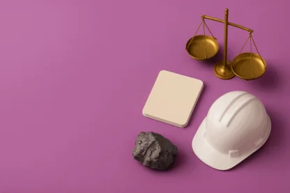 Previous Article Image