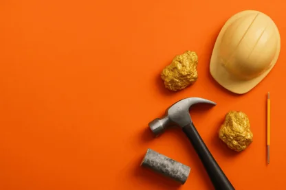 Previous Article Image