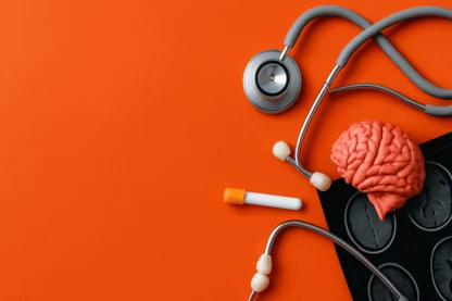 Previous Article Image