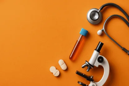 Previous Article Image