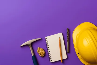 Previous Article Image