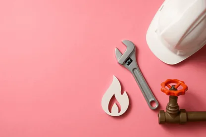 Previous Article Image