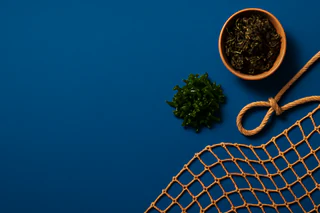 BPH Global Sustains Strong Seaweed Sales with New Makassar Warehouse