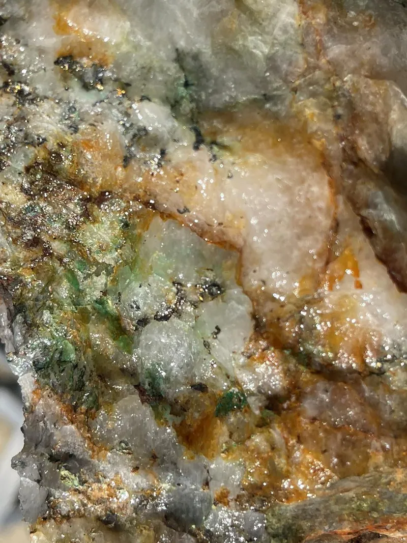 Plate showing a piece of the quartz vein at Scorcher (HGR24)
