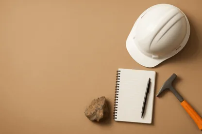 Previous Article Image