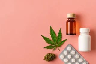 Bioxyne Eyes $75M Revenue with German Cannabis Contract Boost