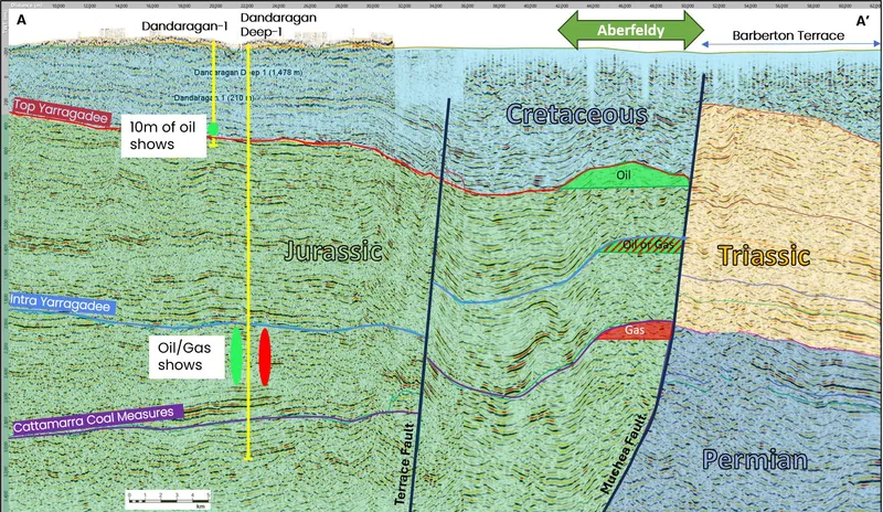 Cross Section showing Aberfeldy Prospect up-dip of Dandaragan-1 and Dandaragan Deep-1, both with oil shows