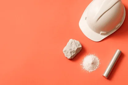 Previous Article Image