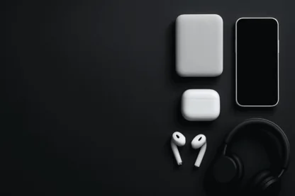 Previous Article Image