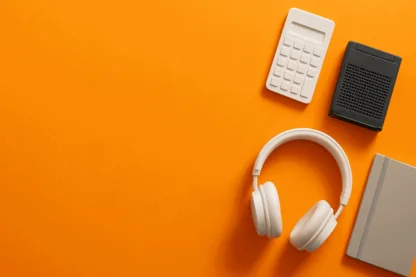 Previous Article Image