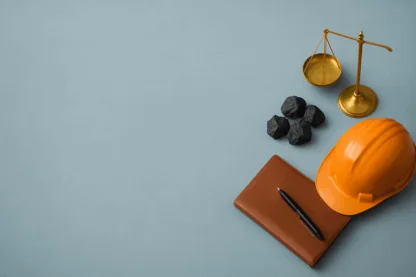 Previous Article Image