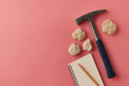 Previous Article Image