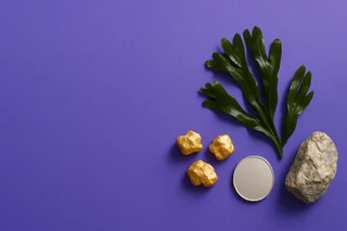 BPH Global Sharpens Focus on Gold and Silver Extraction from Seaweed