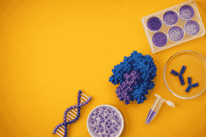 Noxopharm’s Sofra Platform Amplifies TLR8 Immune Response Over 200-Fold
