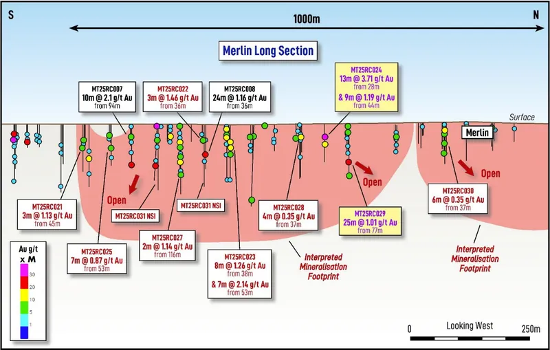 Long section looking west at Merlin, showing recent drill results in red as gram m points and the interpreted mineralisation footprint