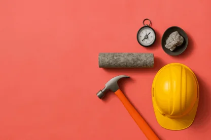 Previous Article Image