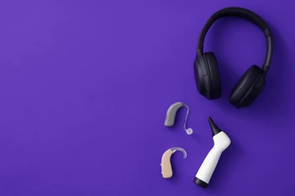 Previous Article Image