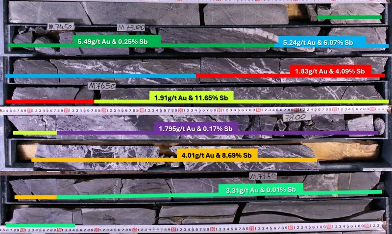 Photograph of core showing individual sample assay results and zones of mineralised antimony and gold within drillhole DD26ZOP006